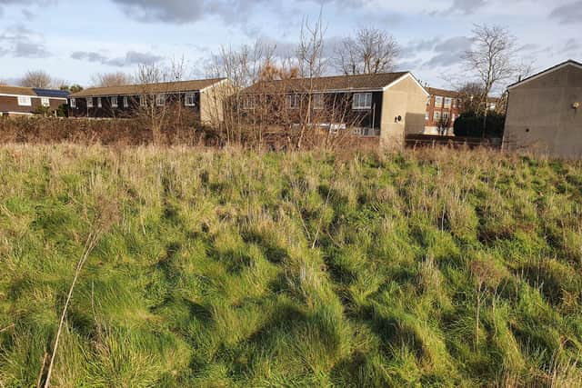 The land across from Grove Road Rec, where the new homes could be built. Picture: Sapphire PR