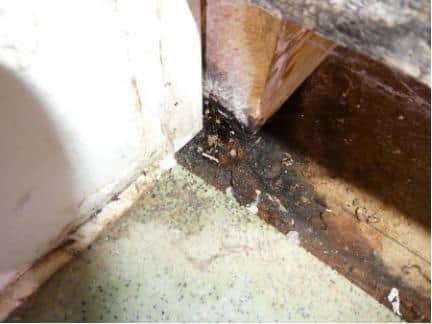 Some of the mould that has plagued a Gosport family's home.