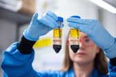 The Oxford/AstraZeneca vaccine trial findings have been submitted for formal approval.

Photograph: PA