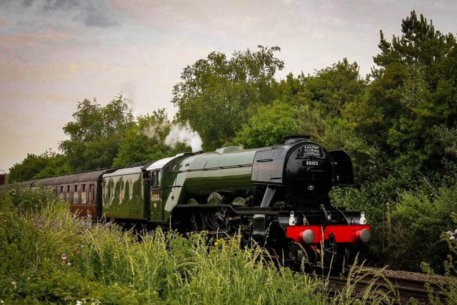 The Flying Scotsman in Hampshire