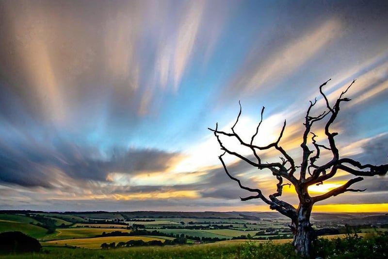 Special tree with windswept clouds on the South Downs by Neil Harris. @champ4334