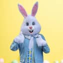 Whitley announces Easter opening hours and activities for families this weekend.