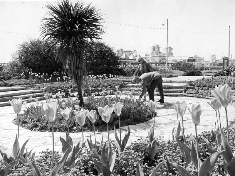 The flowers beside the D-Day memorial in Southsea, July 1982. The News PP5177