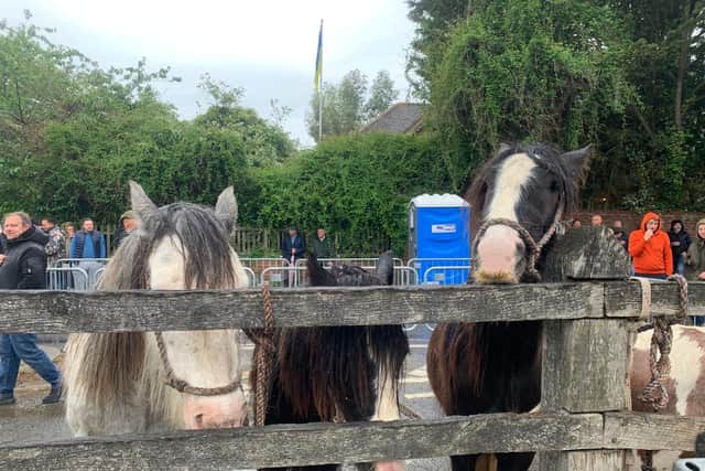 Wickham Horse Fair. Picture: Sarah Standing