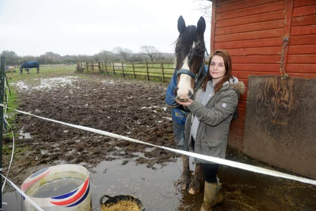 Chelsi Reddish with her horse Jake, who has been confined to a small paddock. Picture: Sarah Standing (280220-9251)
