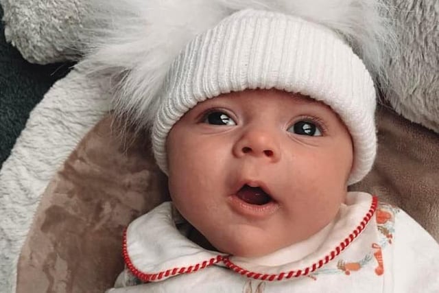 Eight-week-old Lola. Picture: Elicia Louise