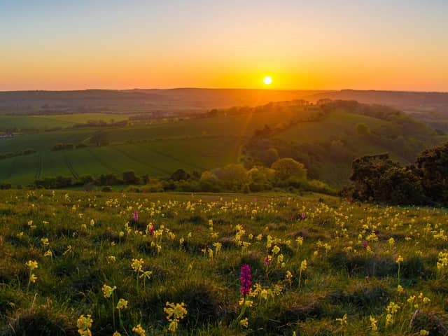 The South Downs National Park has begun to experiment with drought resistant meadows as the country experiences a record breaking heatwave.