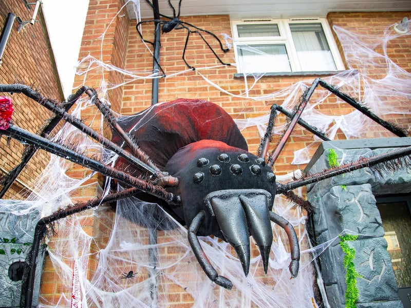 Becky Donnelley has dressed her house in giant homemade Halloween decorations in aid of raising money for The Rowans hospice

Pictured - Incredible handmade Halloween displays in Becky's front garden

Photos by Alex Shute