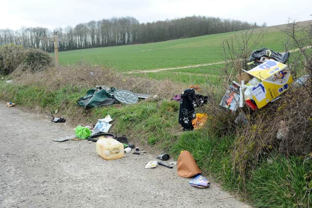 Fly-tipping on the A32 Wickham Road between Droxford and Wickham, on Monday, March 30. Picture: Sarah Standing