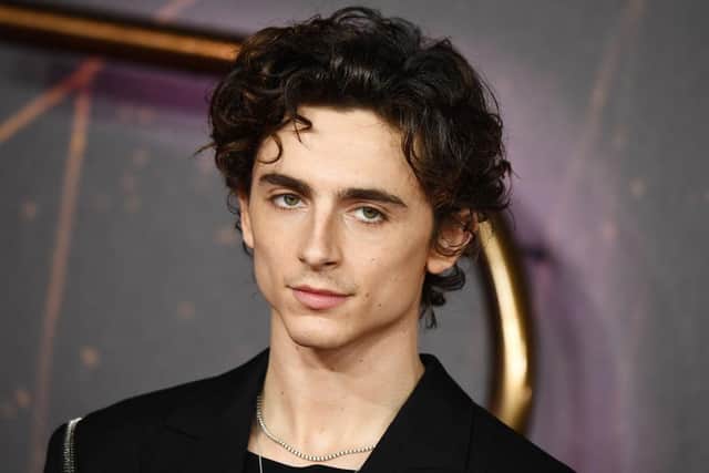 Timothée Chalamet stars in Dune.