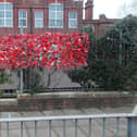 Children at Lyndhurst Junior School marked Armisitce Day with the creation of a poppy wave.