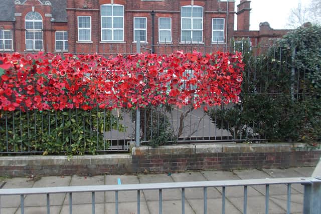 Children at Lyndhurst Junior School marked Armisitce Day with the creation of a poppy wave.