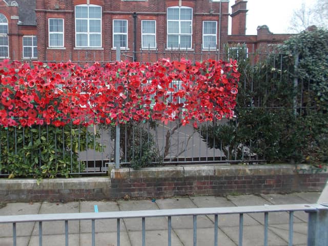 Children at Lyndhurst Junior School marked Armisitce Day with the creation of a poppy wave.