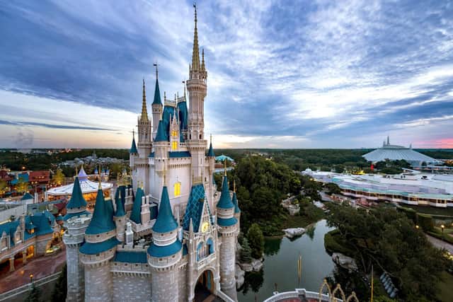 Disney World, Florida Picture: Walt Disney World Resort via Getty