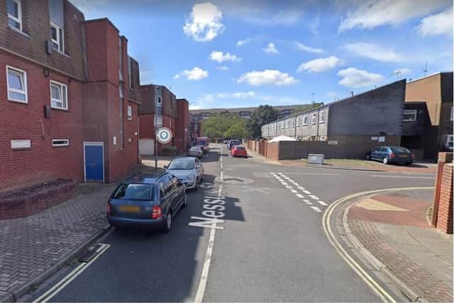 Pictured: Nessus Street, in Buckland, where armed police were called following reports of three teenagers fighting with knives. Photo: Google