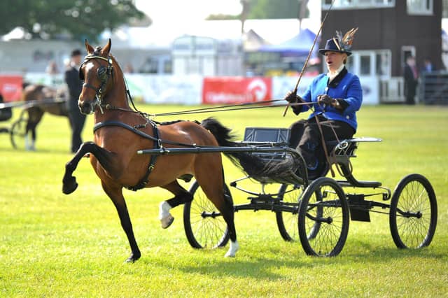 Spectators enjoyed the equestrian shows.