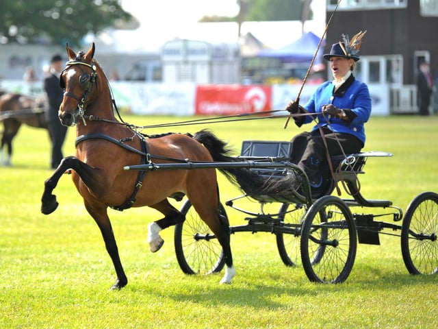 Spectators enjoyed the equestrian shows.