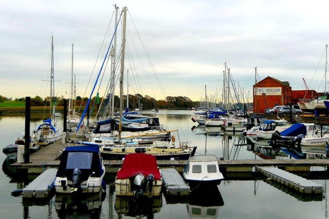 A fabulous stroll along Cams Hall and Fareham Creek will certainly blow the cobwebs away this spring. You can take a short stroll along just part of the Creek, or park up at the carpark at the the end of Shearwater Avenue and then head for the water to then do an entire circuit along the coastline (and a bit on a road). Just watch out for a few golf balls! There is also the pub and the wonderful Dovecote to pop into for a drink and snack. If you are feeling adventurous the shoreline can be followed all of the way along to Portchester Castle.Taken by Alison Treacher