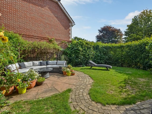 The garden