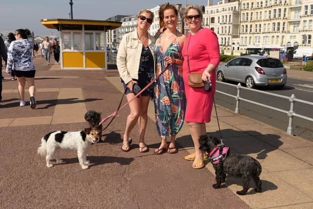 Jayne and Georgia Stechman and Tracey Jones with their dogs
Picture: Keith Woodland (160421-55)