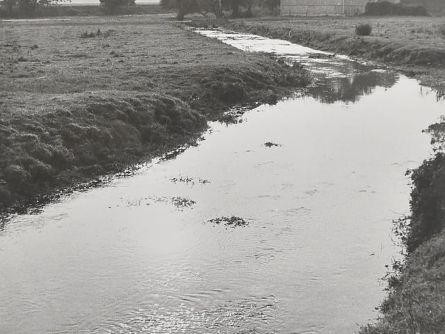 Pictured is: Ratham Mill, Bosham in 1974. Picture: (9868-1)