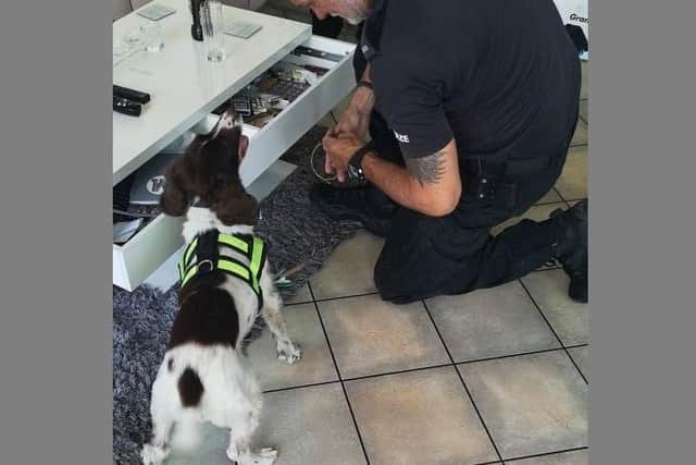 A police dog and officer at a drugs raid in Gisors Road in Milton. Picture: Portsmouth police