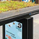 A planted bus shelter roof