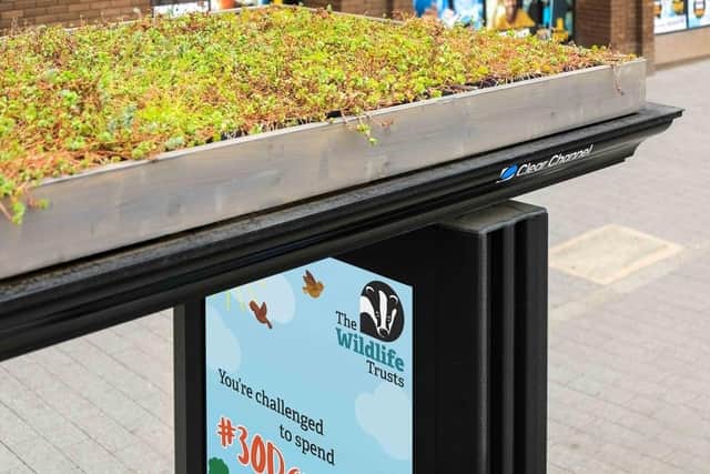 A planted bus shelter roof