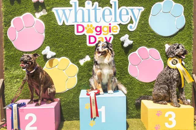 Whiteley's Doggie Day raises more than £500 for charity.