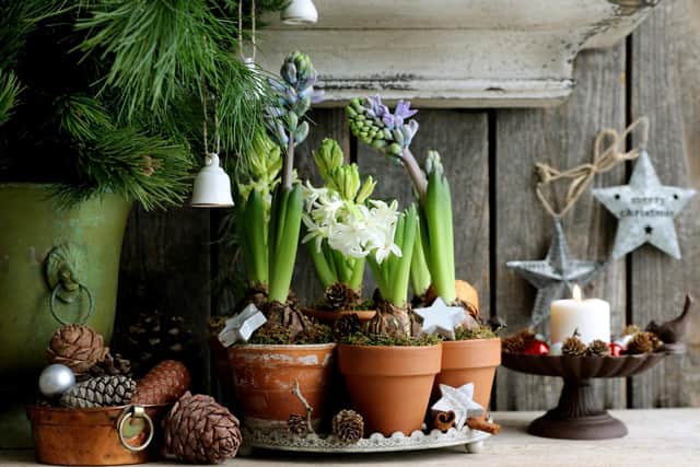 Christmas is on the way - remember, you read it here first. Picture: Shutterstock