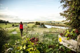 The South Downs National Park was closed when lockdown measures were introduced.