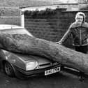 Mike Castellano was not too pleased about his car after the Great Storm in October 1987. The News PP4119