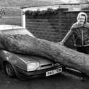 Mike Castellano was not too pleased about his car after the Great Storm in October 1987. The News PP4119