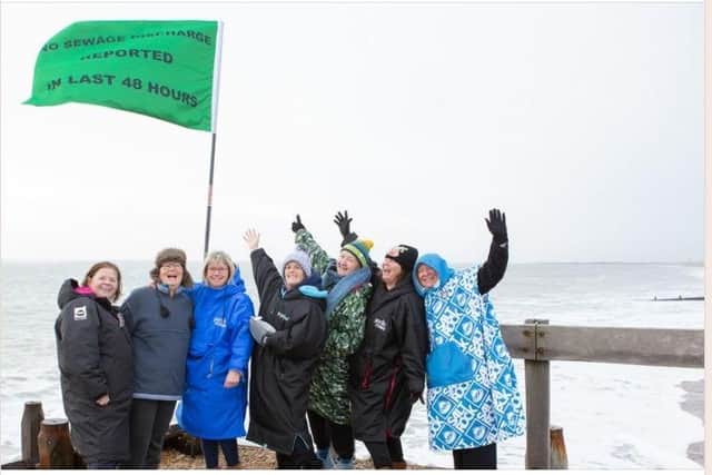 Environmental campaigners' efforts to highlight water pollution off the coast of Hayling Island have been halted by the local council – who removed an unauthorised water quality flag.