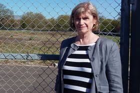 Ann Buckley, coordinator of the Havant Borough Residents' Alliance