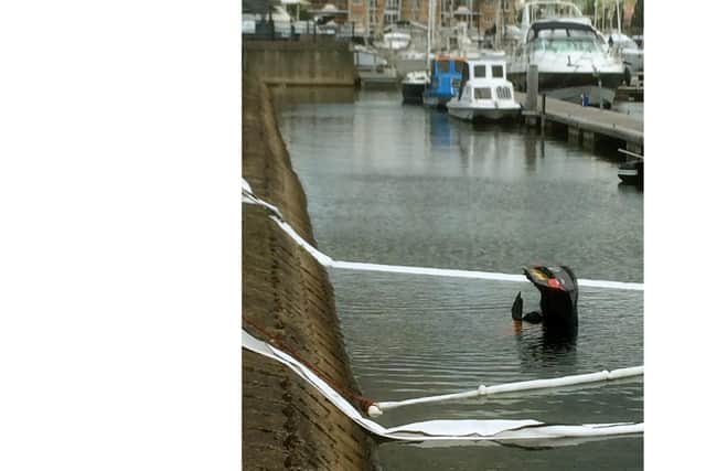 The BMW which crashed through the barriers at Port Solent into the water today