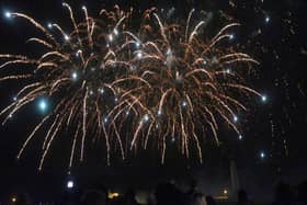 Portsmouth City Council's firework display on Southsea Common
Picture: Chris Moorhouse (jpns 011123-58)
