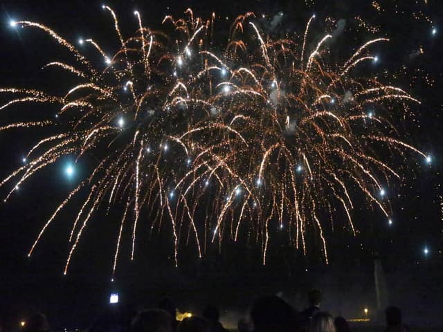 Portsmouth City Council's firework display on Southsea Common
Picture: Chris Moorhouse (jpns 011123-58)