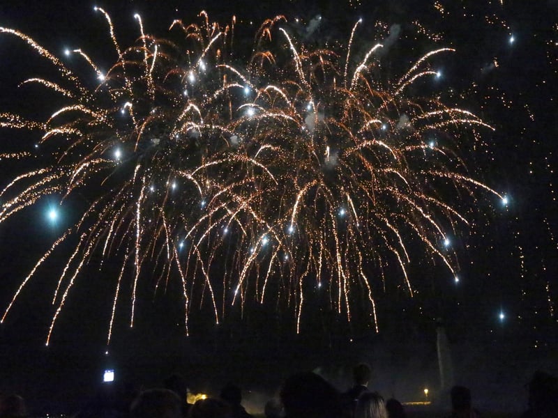 Portsmouth City Council's firework display on Southsea Common
Picture: Chris Moorhouse (jpns 011123-58)