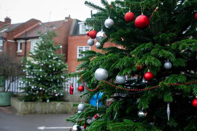 Milton Park Primary School has received donations of four festive trees and decorations after launching its Christmas tree appeal.

Picture: Habibur Rahman
