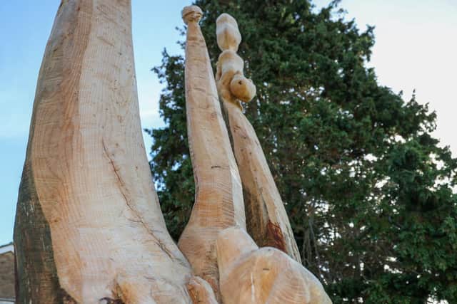 One of the sculptures Picture: Alex Shute