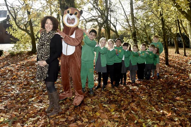 Springwood Infant School in Waterlooville, has received a Good Ofsted report, matching the junior school who also received a good rating back in 2022. 

Picture: Sarah Standing (131123-1174)