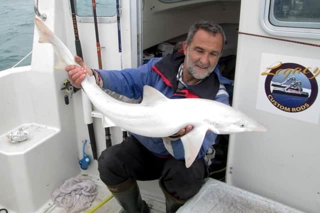 Angler Jason Gillespie with the albino Tope shark caught off the coast of the Isle of Wight.