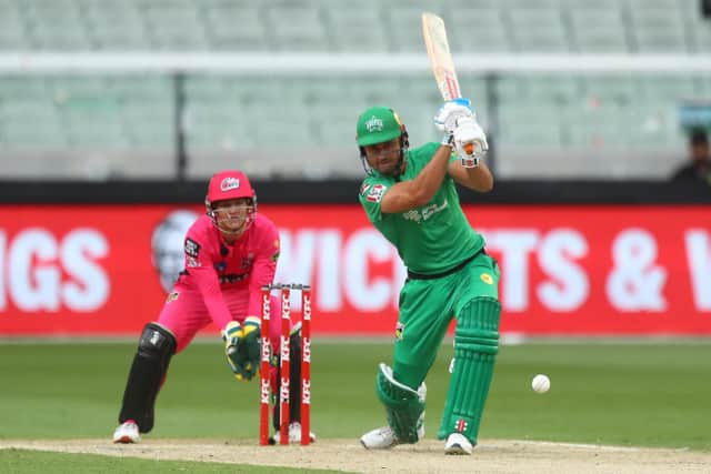 Record-breaker Marcus Stoinis in Australian BBL action for the Melbourne Stars. Photo by Mike Owen/Getty Images.