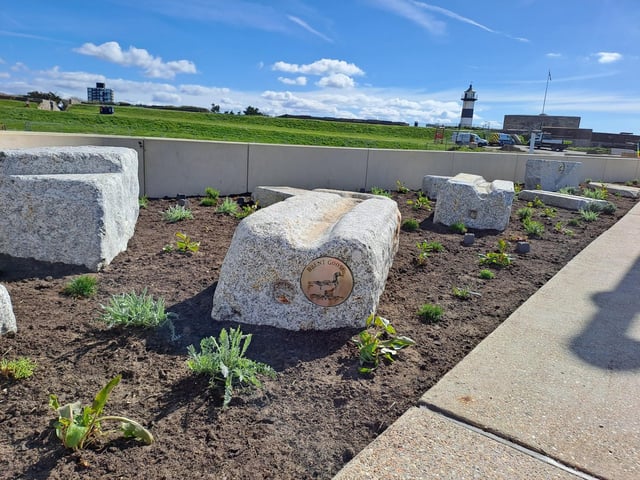The boulders and planting in front of the bandstand
