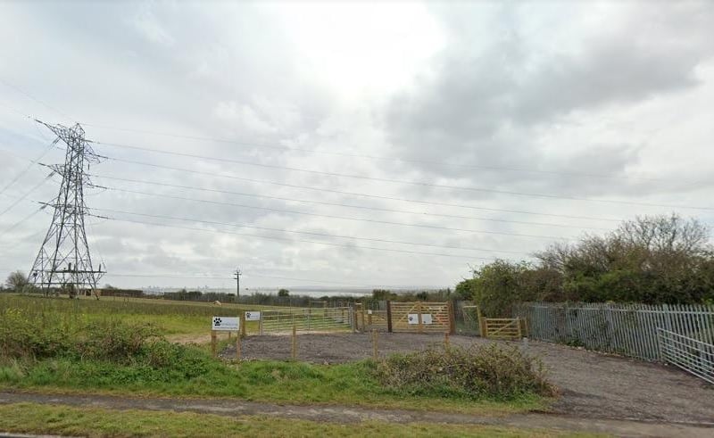 Paw Paddock, Portsdown Hill, is a safe and secure place that dogs can roam freely and the company also have a number of different sites for dog owners.
