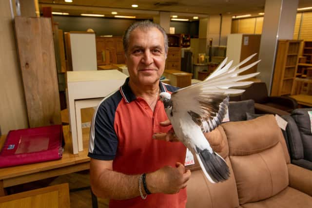 Navid Assar with Petra the pigeon at Mr Pine in Fareham 
Picture: Habibur Rahman
