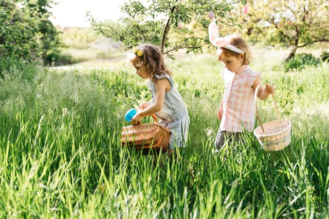 Easter egg hunts are a great way for children to spend an afternoon.