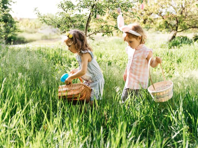 Easter egg hunts are a great way for children to spend an afternoon.