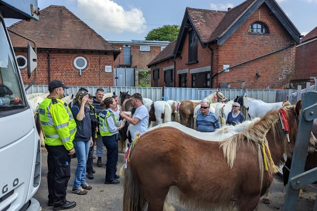 RSPCA representatives were present at the fair to monitor animal welfare.
